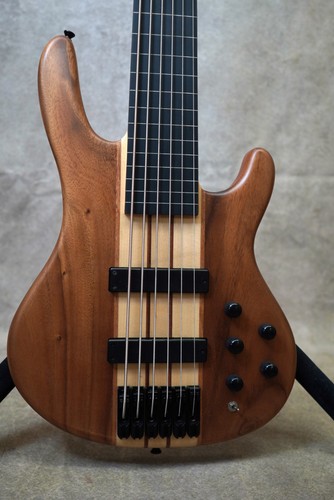 Aio string fretless bass - 6w,