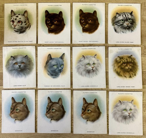 1936 john player cats large - 1936,
