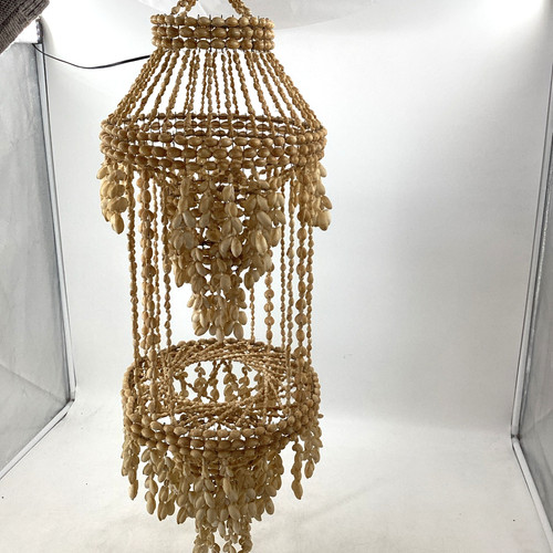 Natural seashell chandelier - seashell,