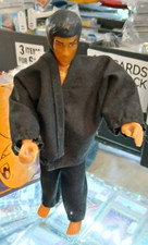 Bruce Lee the legend action