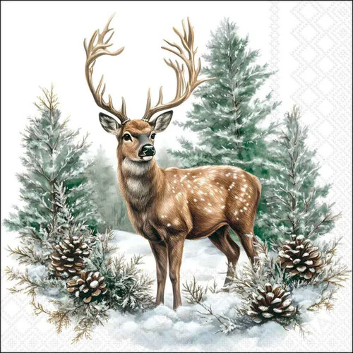 Winter stag forest - stag,