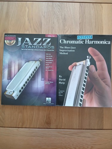 Chromatic harmonica - x,