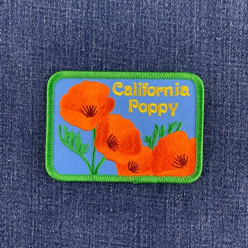 California poppy patch - poppy,