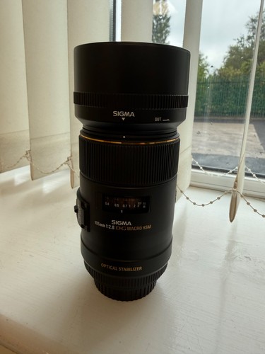 Sigma 105mm macro - macro, dg