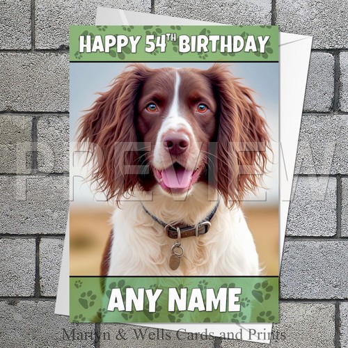 Springer spaniel birthday - springer,