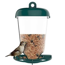 GLASS WINDOW HANGING WILD BIRD