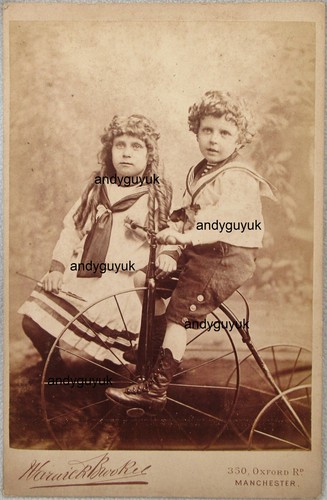 Cabinet card tricycle - cabinet,