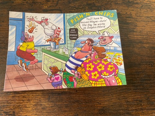 Vintage seaside comic - comic, humour
