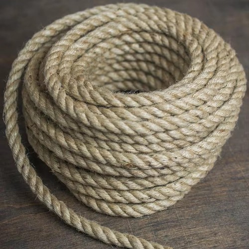 50m cat scratching sisal - cat,