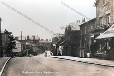 TF0369 - Oatlands Park , Weybridge , Surrey - photograph 6"x4"