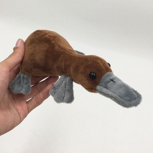 Platypus stuffed doll duckbill - stuffed,