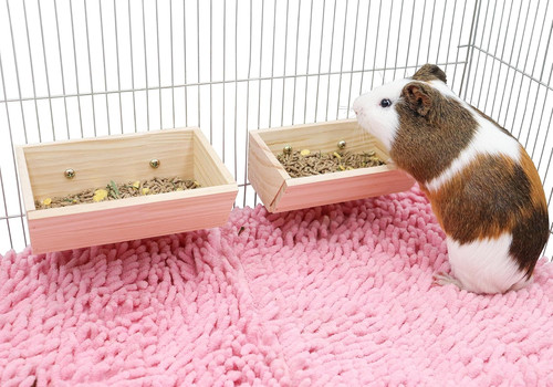 Pcs guinea pig feeder box - pig,