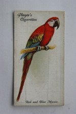 1933 John Player & Sons Aviary & Cage Birds 30 Red & Blue Macaw