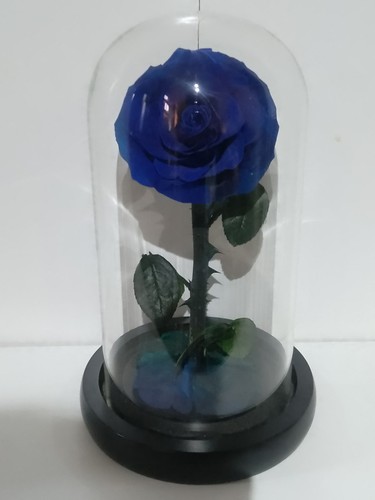 Forever real rose glass - rose, a