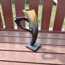 Animal horn drinking - animal,