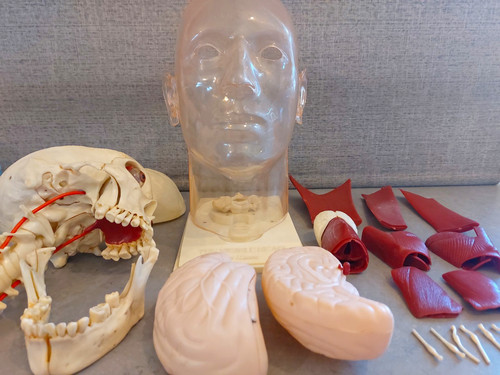 Renwal the visible head - renwal,