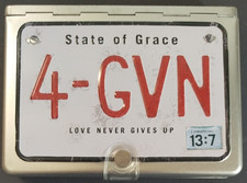 NLT Metal Bible: 4-Gvn: New