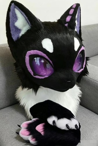Fursuit long haired dog - long,