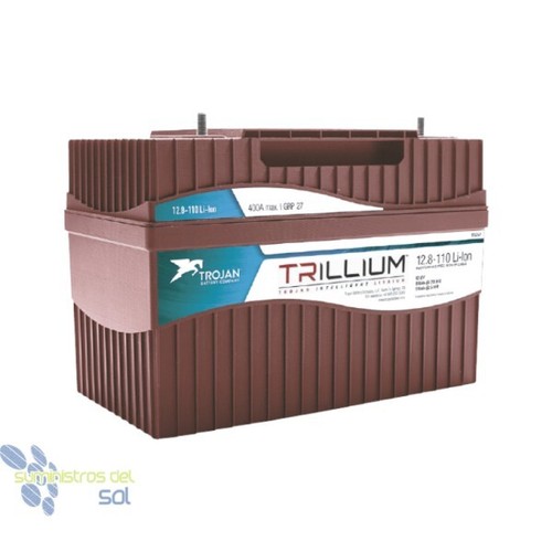 Lifepo4 lithium battery - lifepo4,