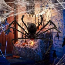 Big Spider Halloween