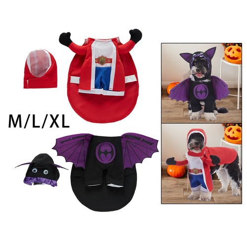 Halloween dog outfit - outfit,