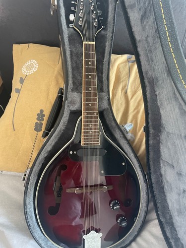 Stagg electro acoustic - stagg,
