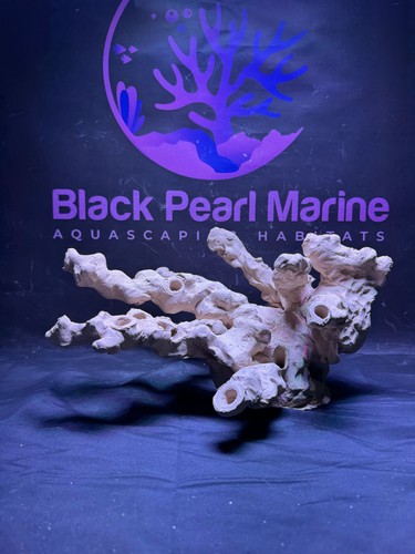 Bpm scape nano - bpm,