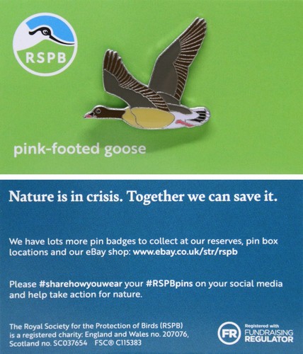 Rspb pin badge niic - badge,