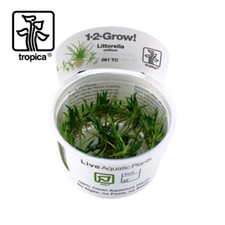 Tropica vitro 2 grow - tropica, in-vitro