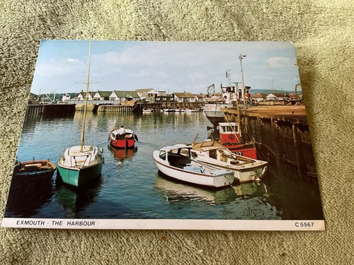 Exmouth harbour devon postcard - devon,