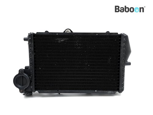 Radiator bmw 1100 - radiator, rs