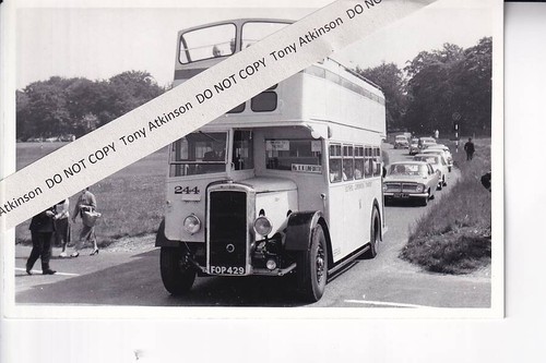 Southend corpn daimler - -,