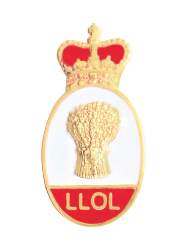Ladies loyal orange - ladies,