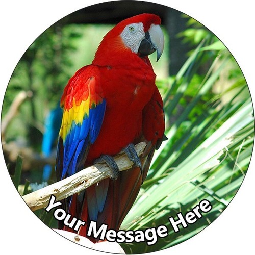 Macaw bird edible - icing, wafer