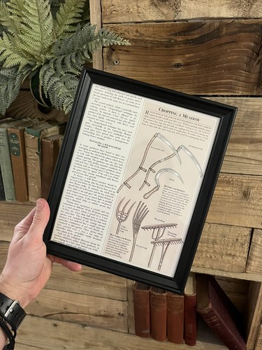 Vintage botanical garden print - vintage,