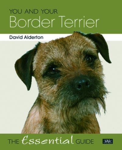 You and your - border, terrier