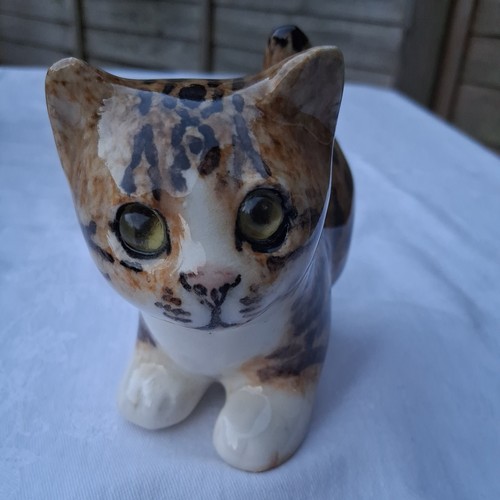 Winstanley tabby cat size - tabby,
