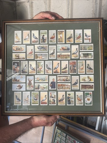Complete set original - of, 50