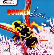 SPINLORD DORNENGLANZ LONG