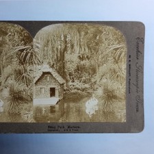 Madeira Portugal Stereoview