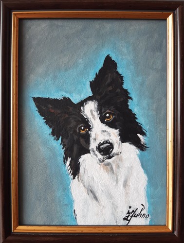 Border collie original - collie,