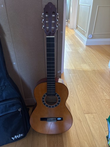 Guitar in great - guitar,