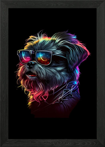 Brussels griffon framed - brussels,