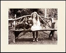 FLAT COATED RETRIEVER DOG AND