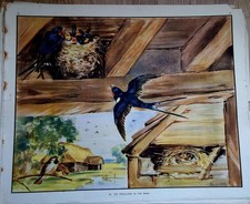 Eileen Soper: 2 VintageEnid Blyton Prints