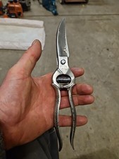 Vintage Brevettato Poultry