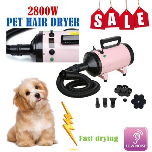 2800w pet hair dryer - hair,