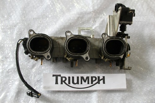 Triumph sprint 1050 - triumph,