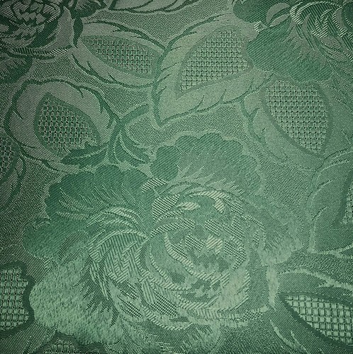 Damask rose traditional - damask,