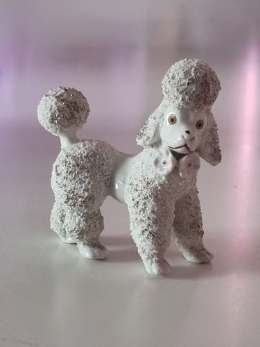 Vtg 1950 standard poodle - standard,